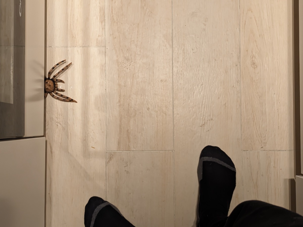 72cbbfd6-635a-462e-a799-1a71b24232f6