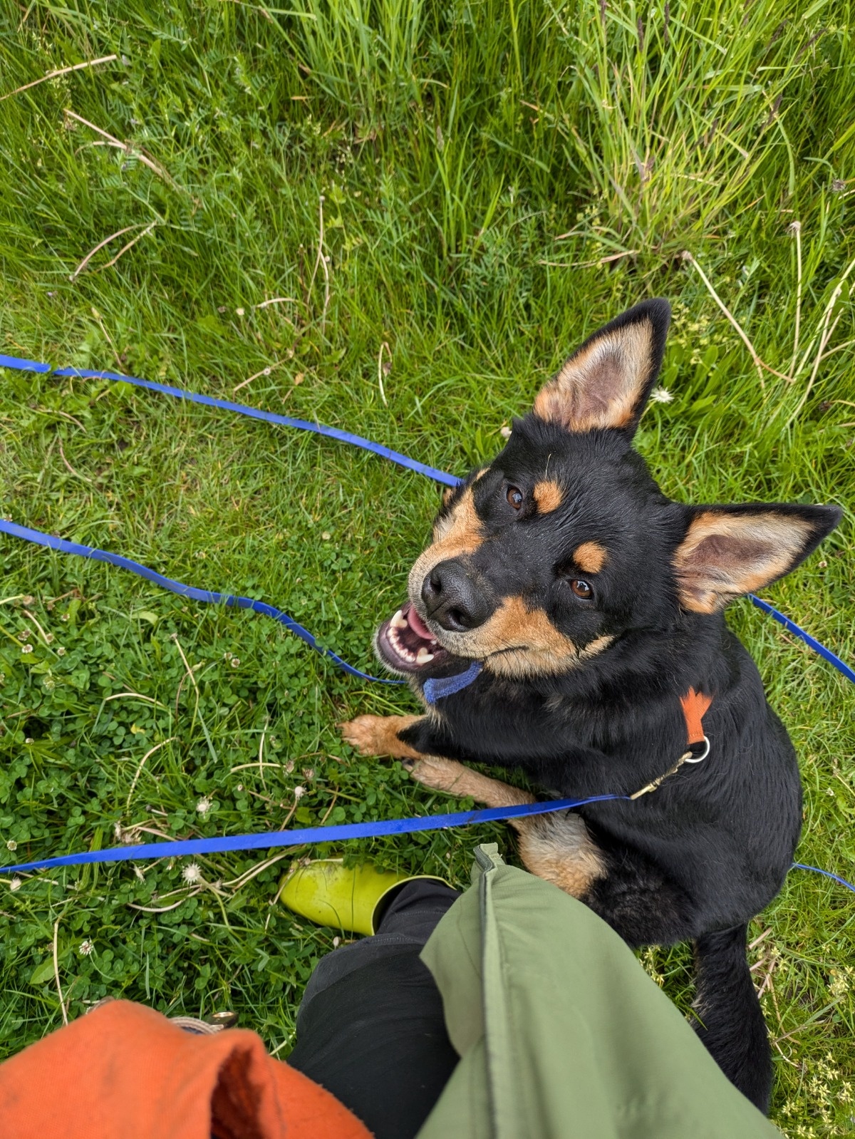 769e1070-cebf-46c1-ab4f-2b5ea3336cc6