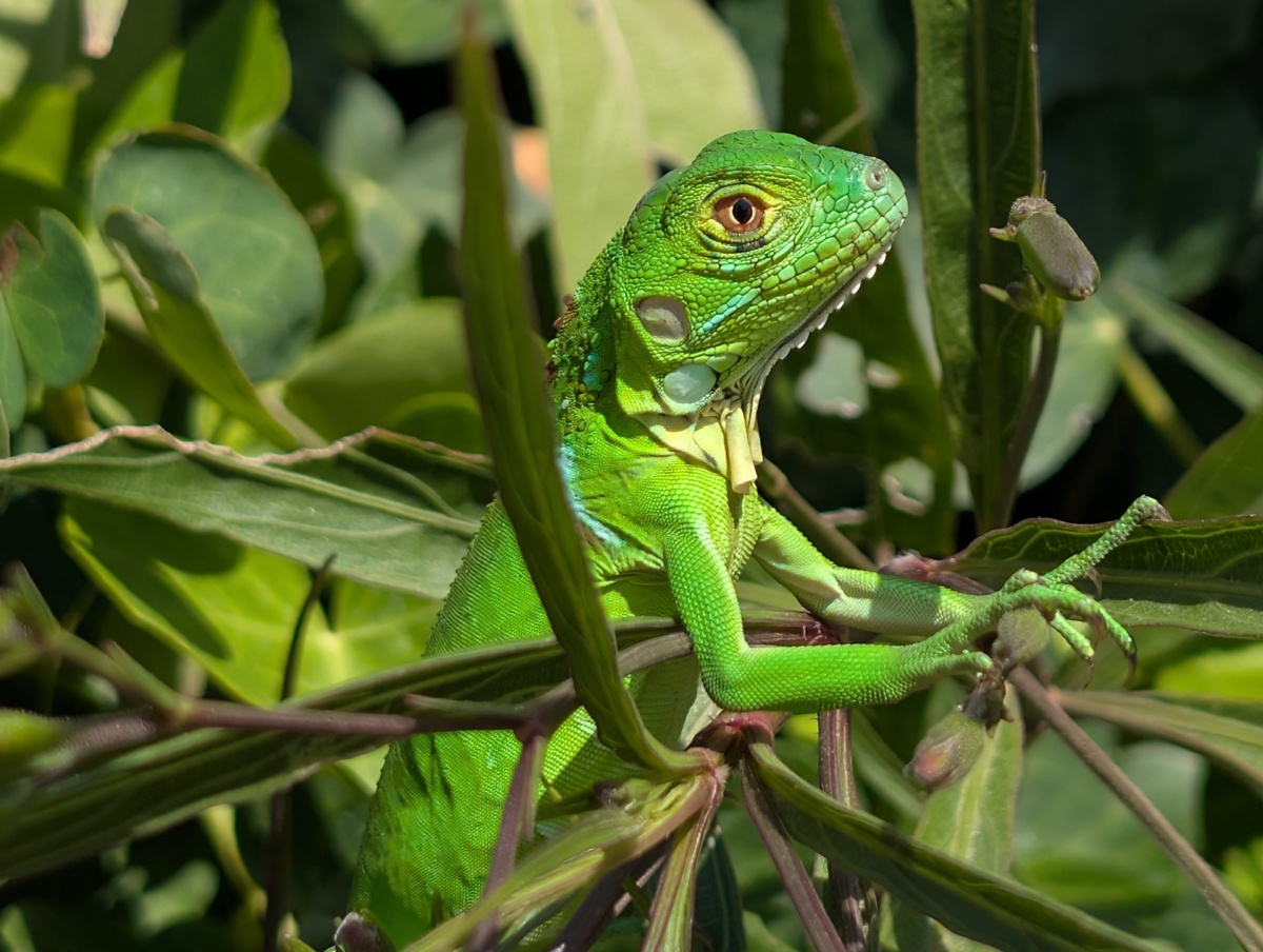 2142354b-7d92-4c02-a369-98f657d7f24f