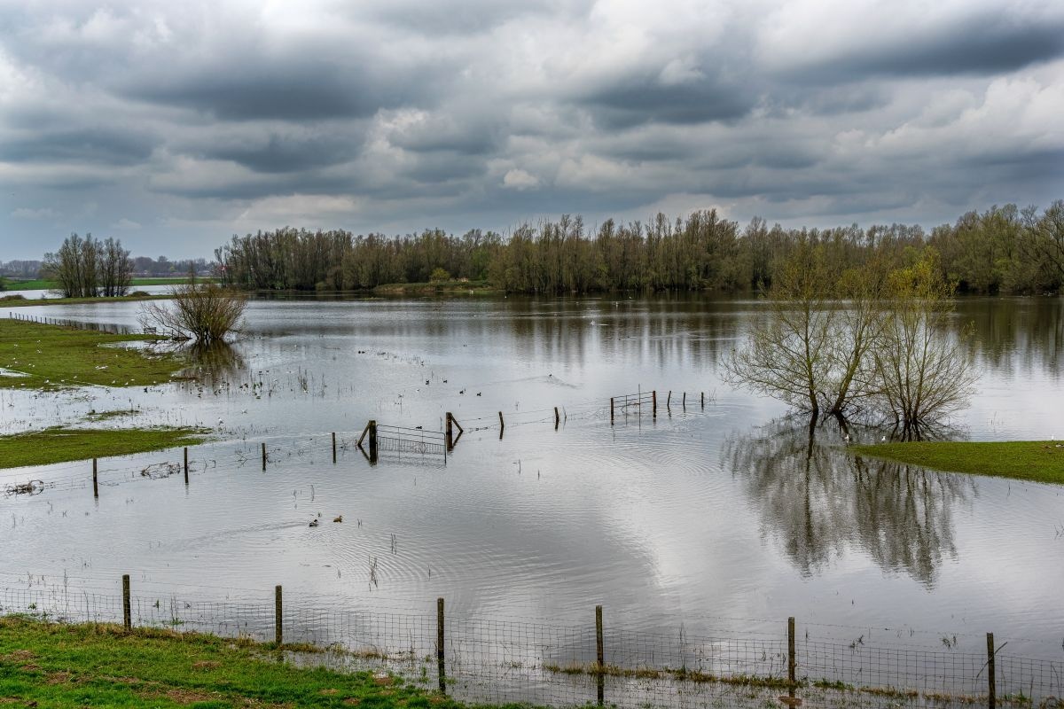 Wśród powodzian są także pszczelarze - nie zapomnijmy o nich!