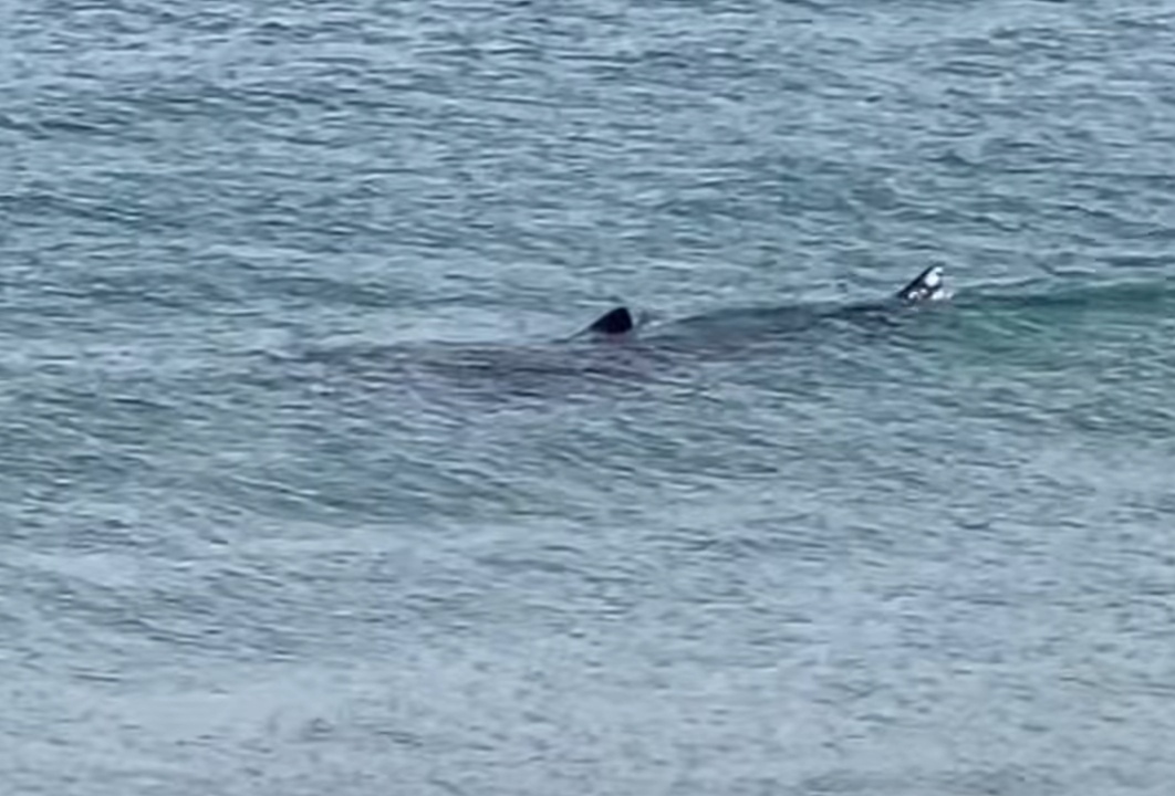 fd0de77c-5788-4f2f-8722-8a779d5f3fa9