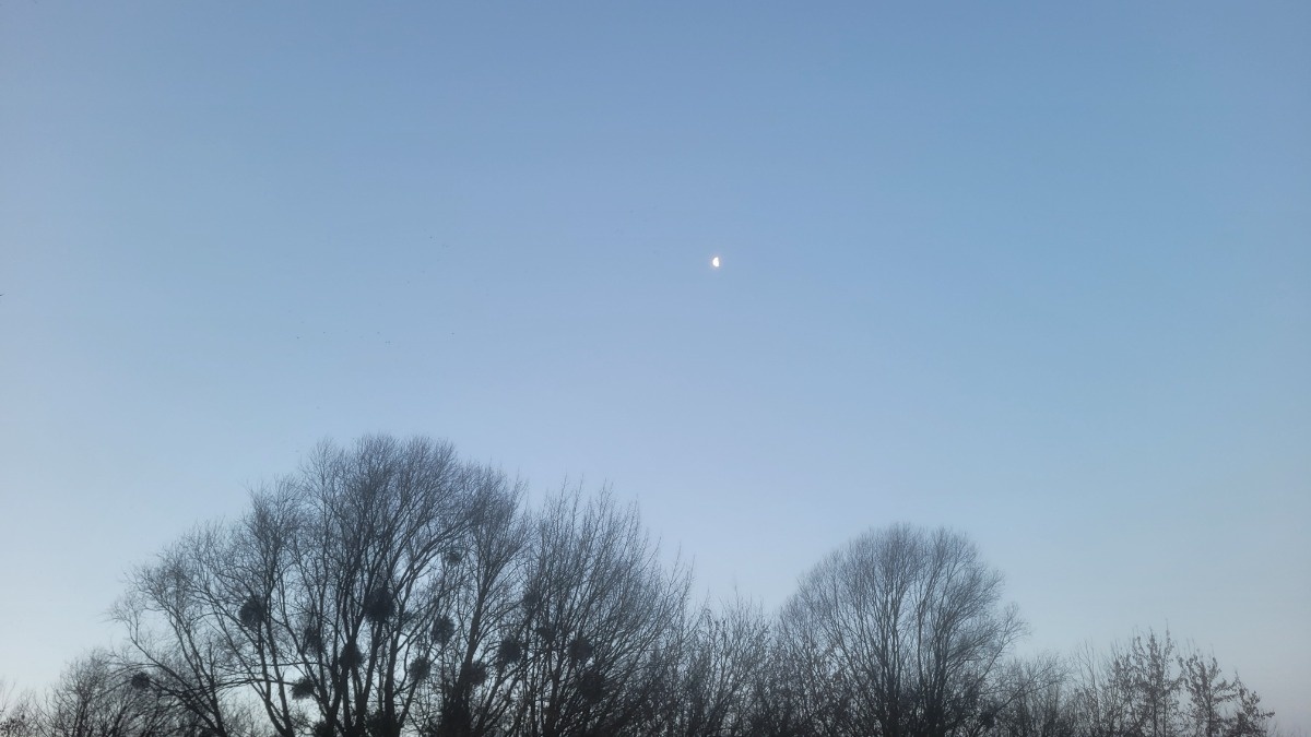 51ec2561-7d7a-4461-86a6-f2eb75011838