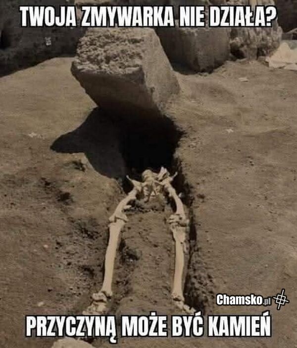 dd4ebc22-29e4-48f3-953e-a4bda220f743