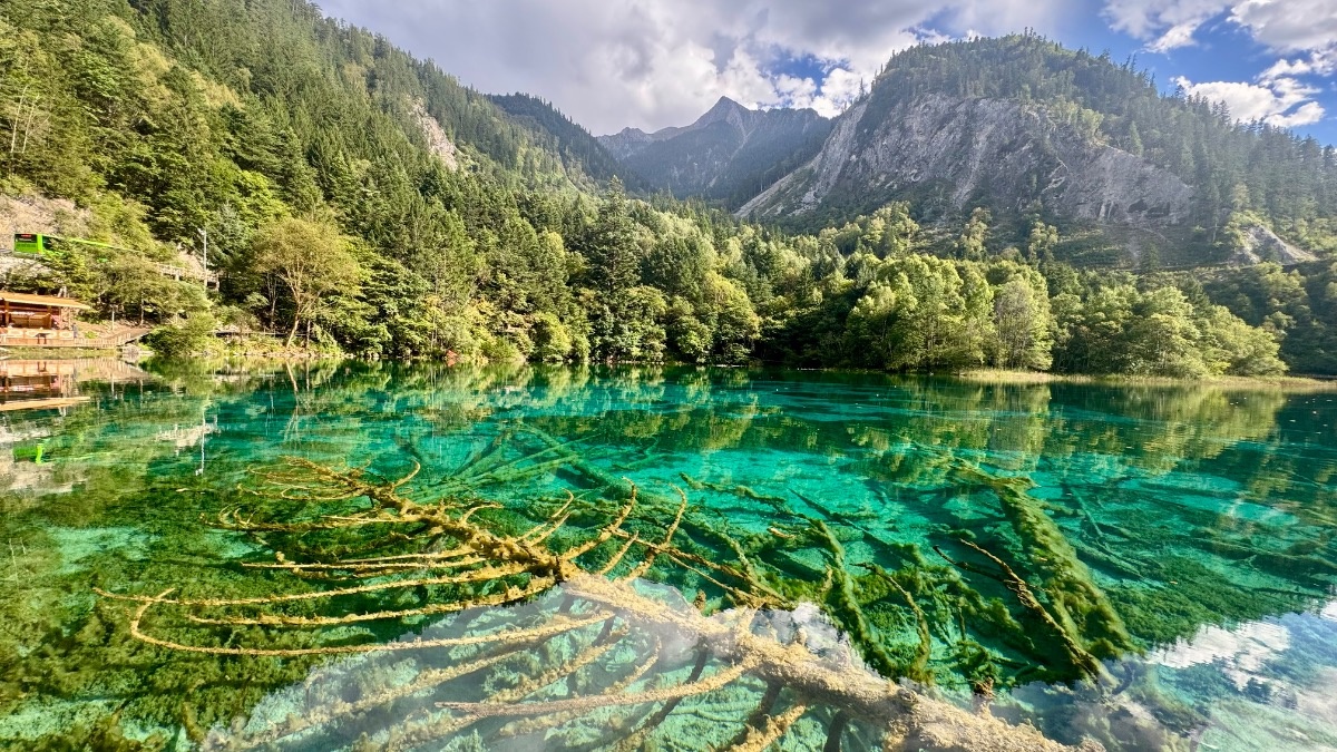 7801a412-4123-4c4b-ab8b-e38519e65f93