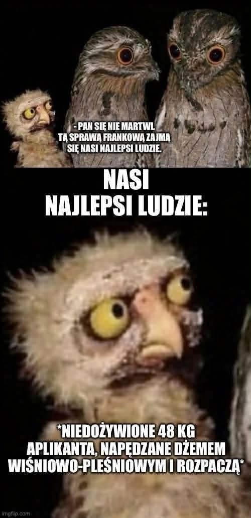 20f50981-2ec2-4803-bdff-3950e5d7bcdb