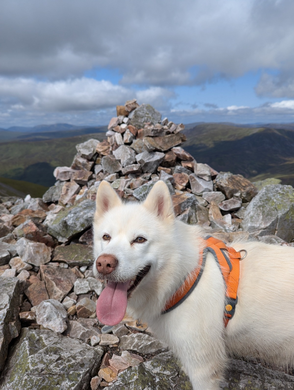 022c166c-64a3-4a5d-b902-5159162c3bed