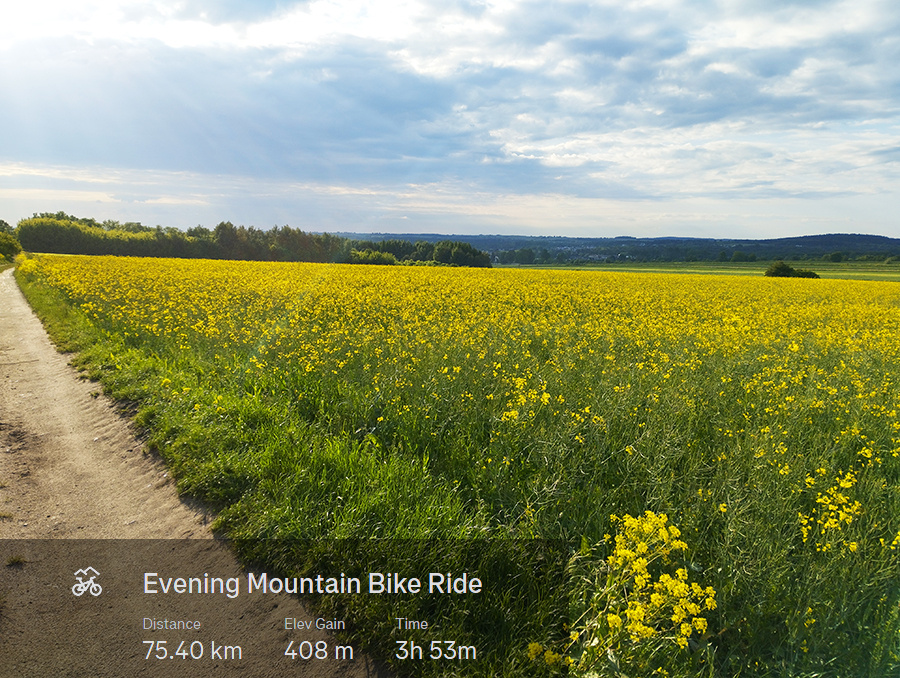 0af374a6-5558-4724-b1af-a772b38703e4