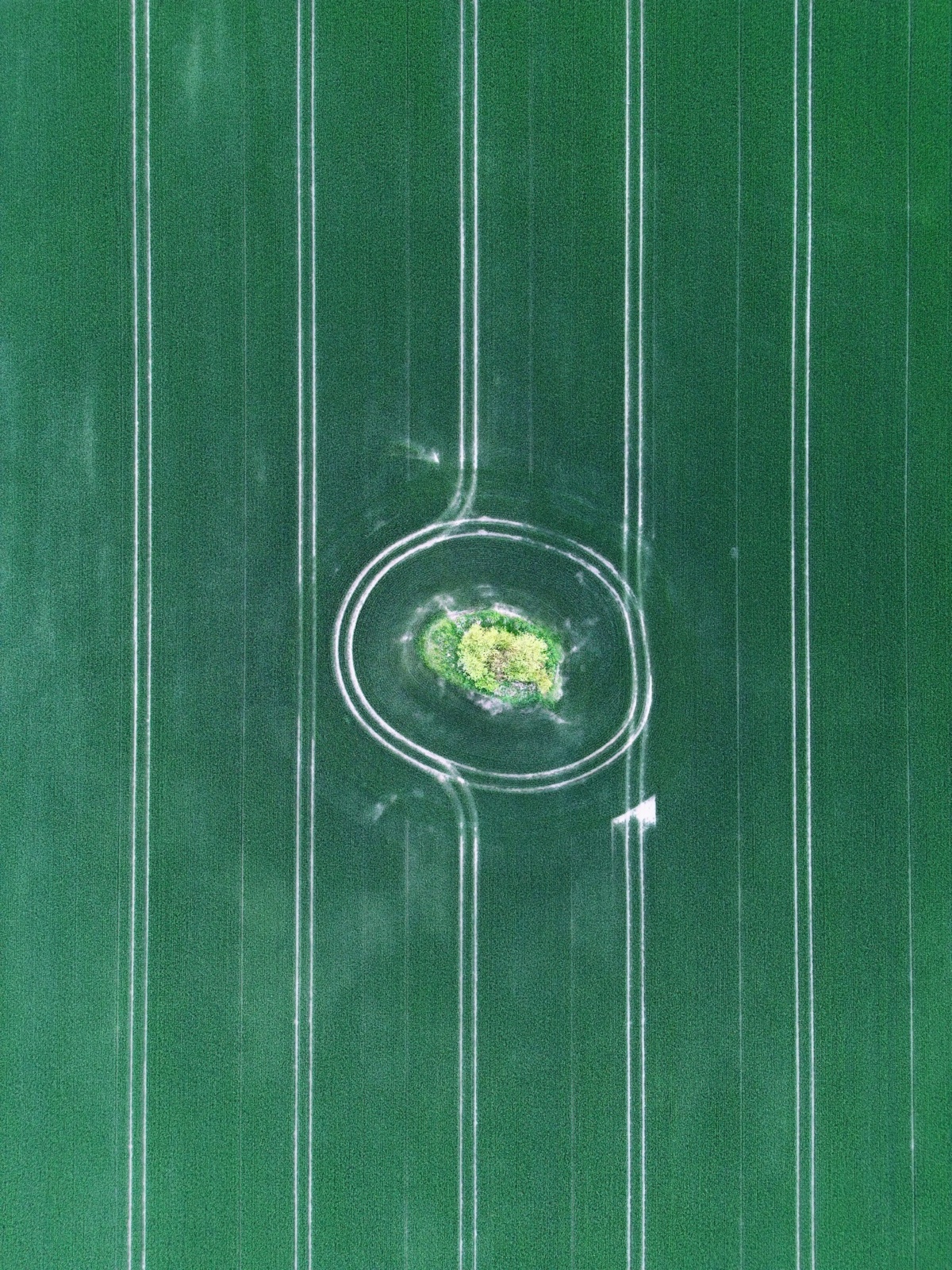 603b168b-29c7-4784-8141-13ada05d17ea