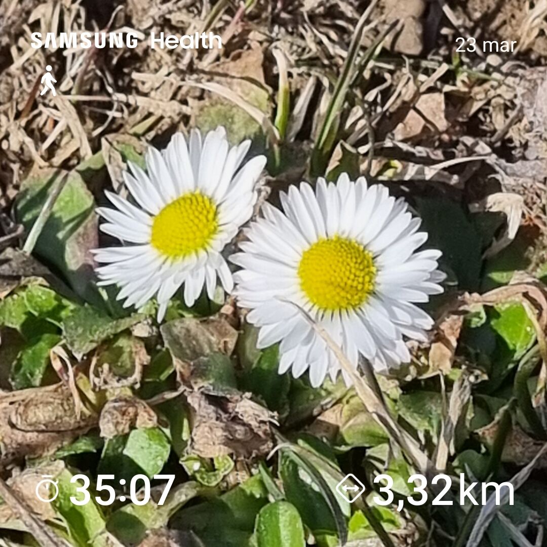 0523755e-bab4-48a6-8519-27c0c5f17537