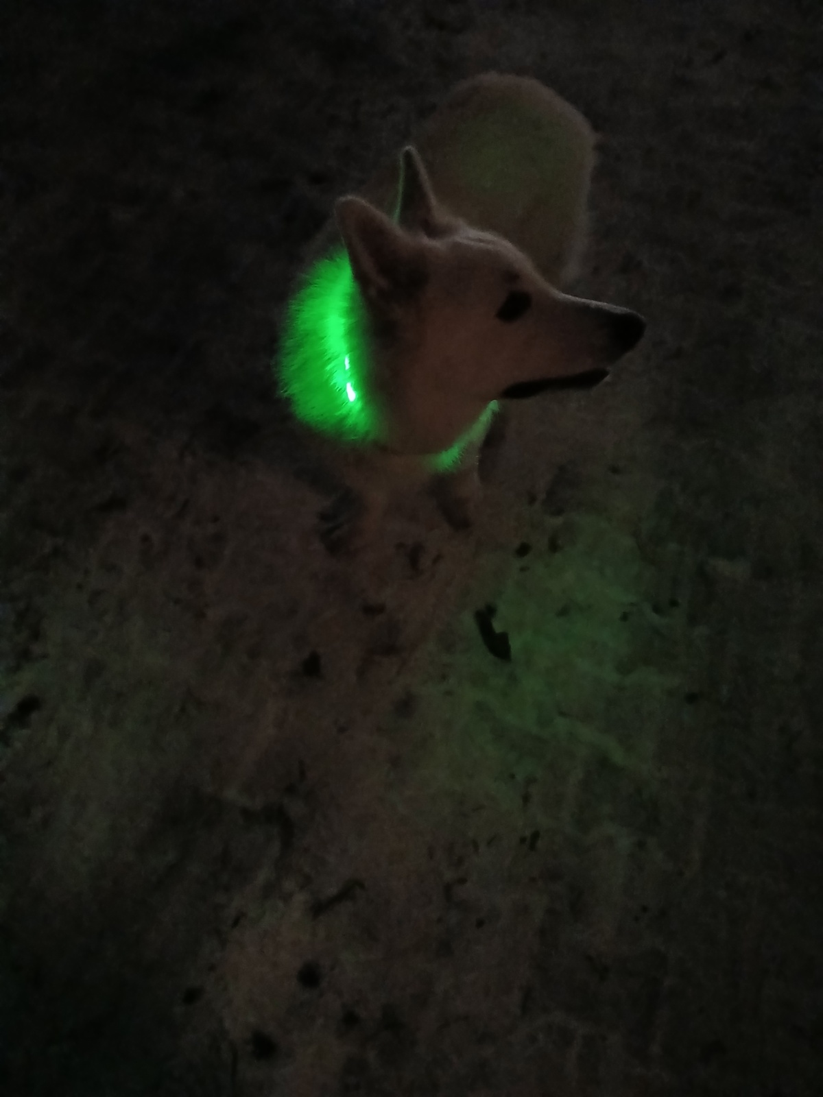 3de02ea3-3f56-483b-adab-343eadb6207a