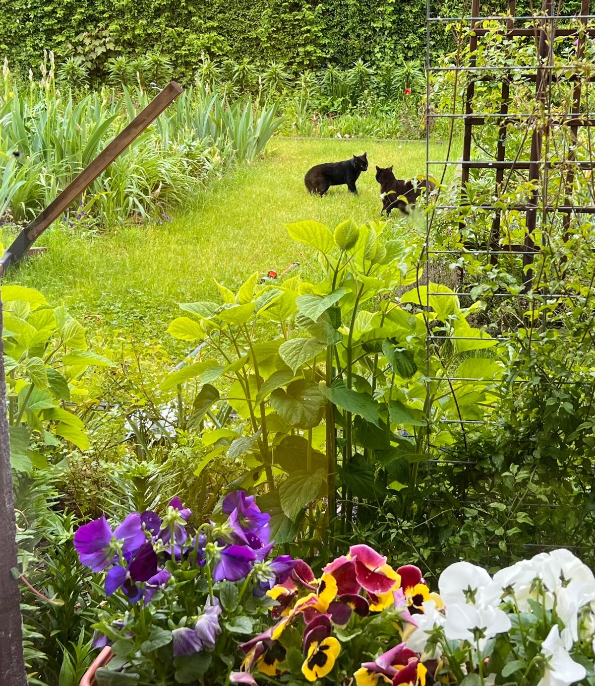 3f7ae1c5-abc3-47a5-b0d4-75955c759969