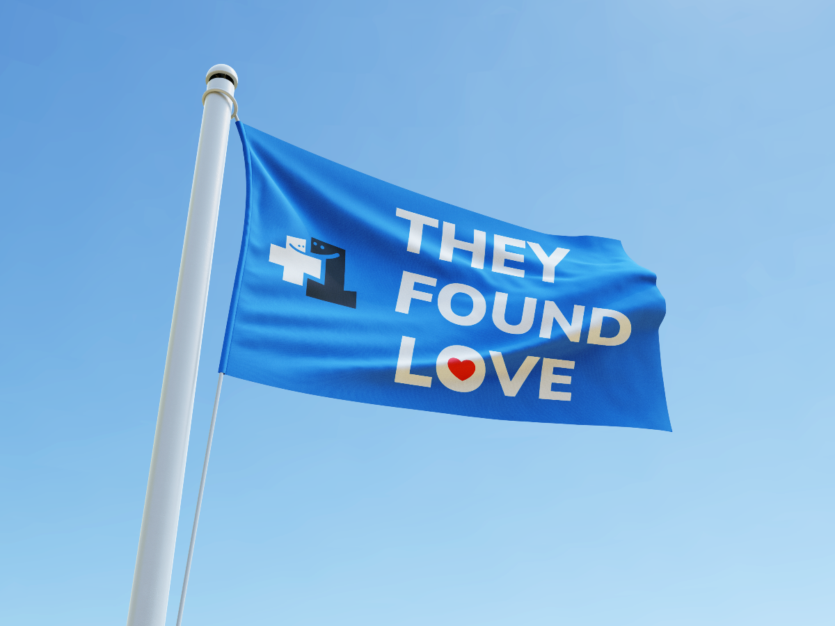 e4109b35-3ecd-412a-a24f-495185a1498a