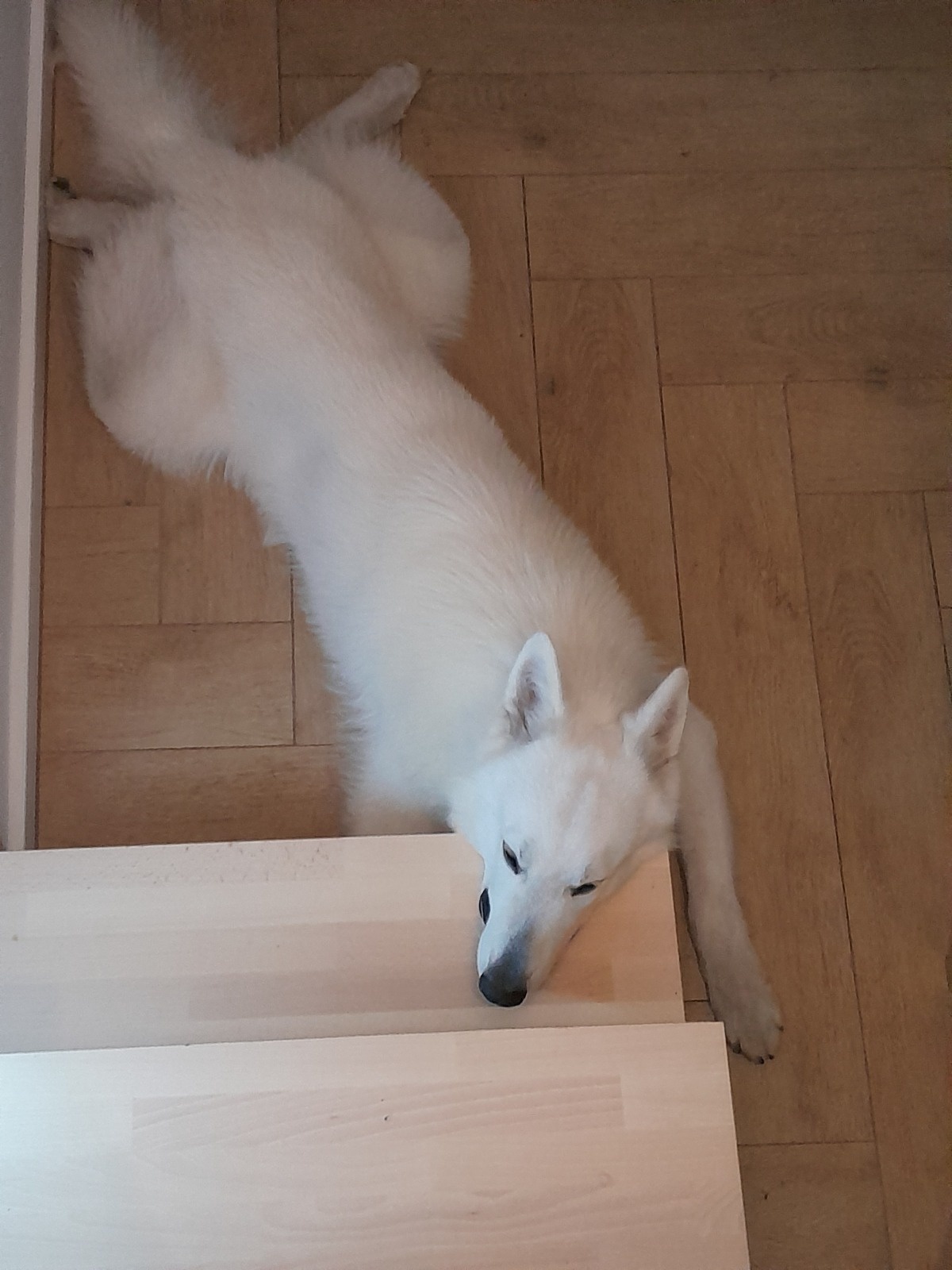 155b1ff8-24bf-46ff-8c62-570fc5524aca