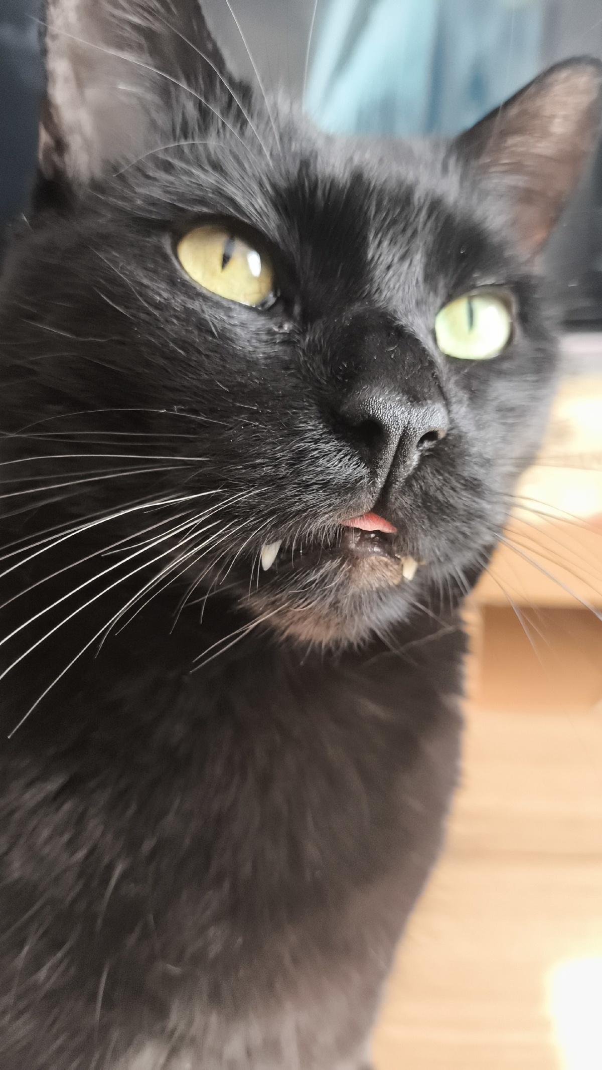 d31cabf0-0b7a-4138-ae72-b275e99f3873