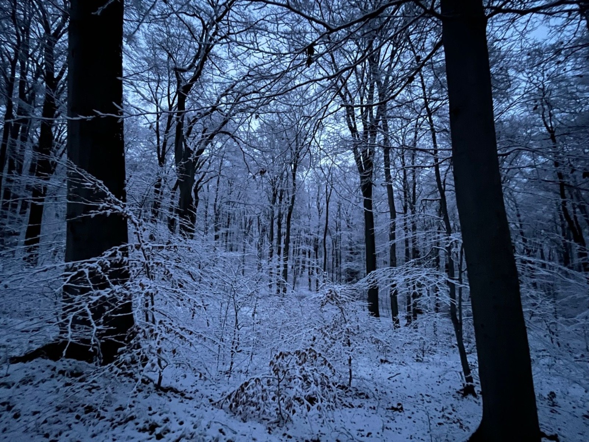 cde512a9-4e7f-4d79-8021-0ff6a2cfd4fb