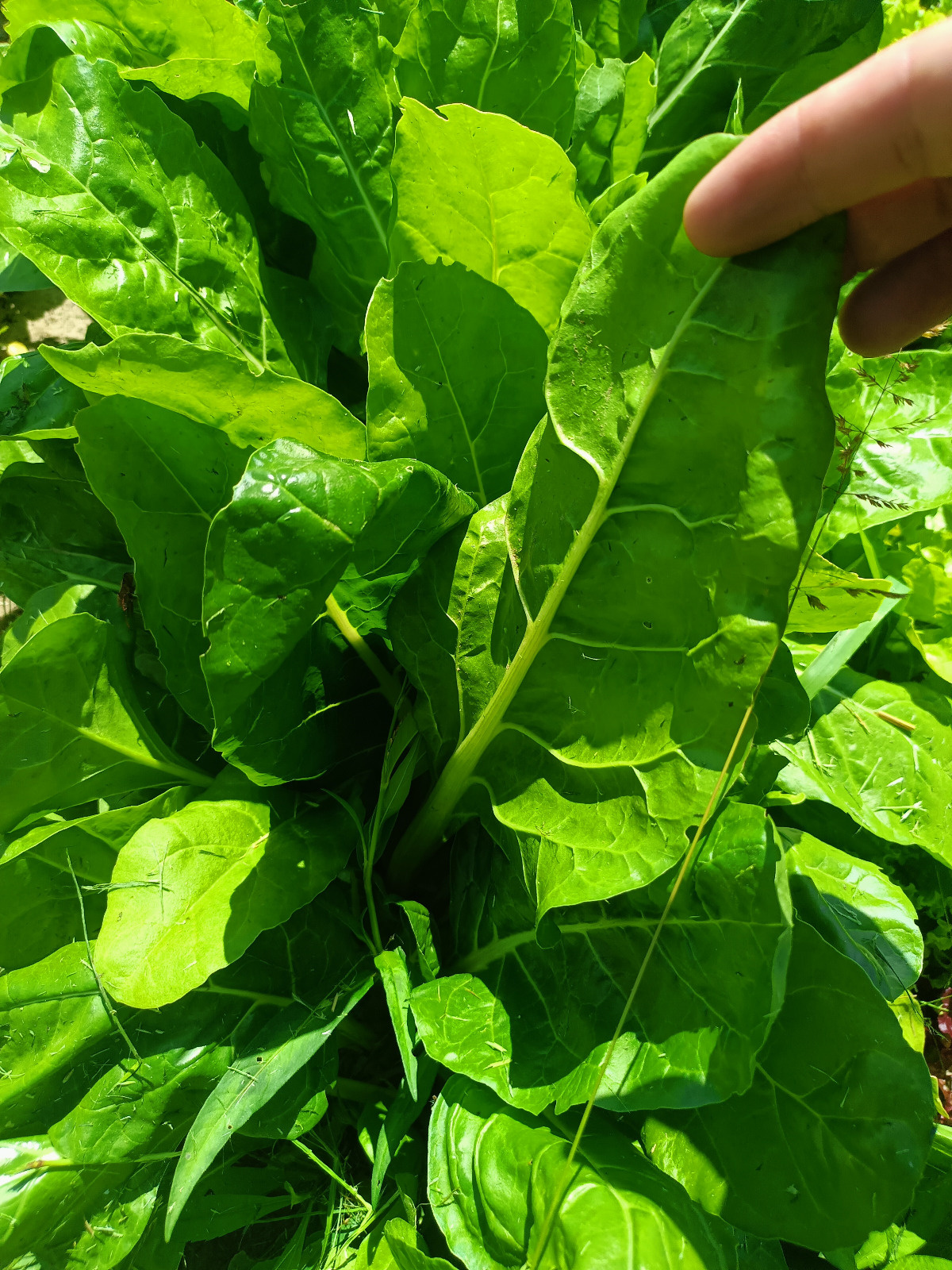 e72b6a65-65ab-4632-a498-d426ea734f83