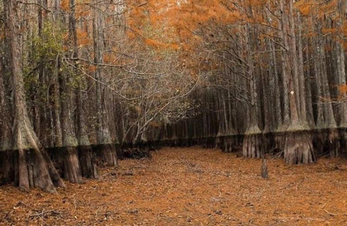 d40ee029-4925-41f1-a34a-9a2a162cfd4d