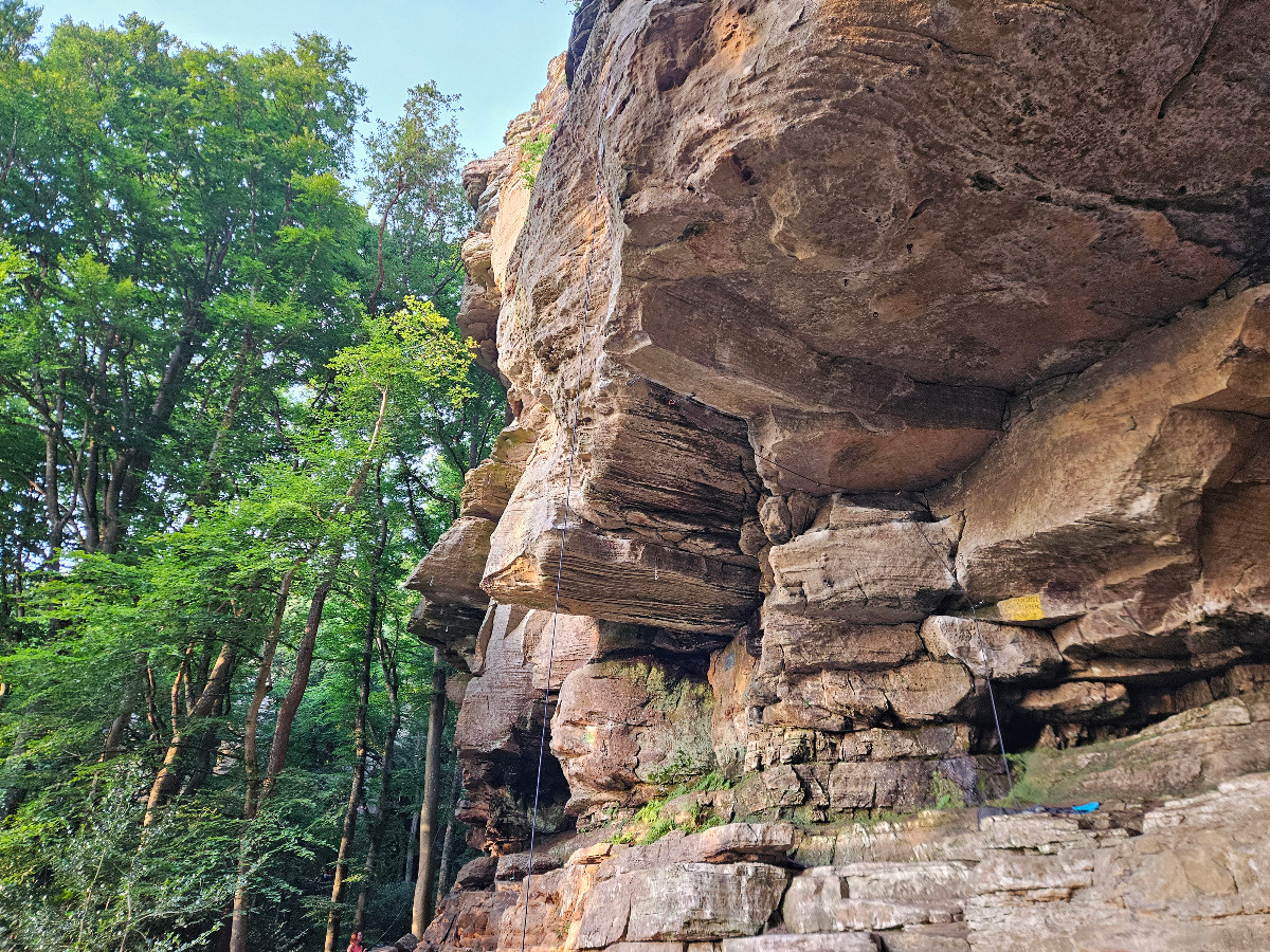 c22ca594-e65f-4f40-b21f-650d763de21a