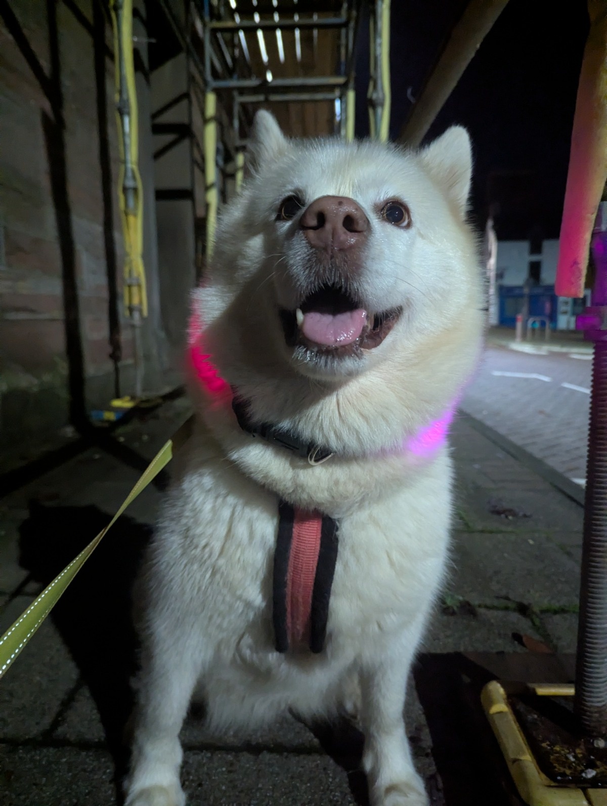 a9d11390-1788-4729-b04a-adc775b91475