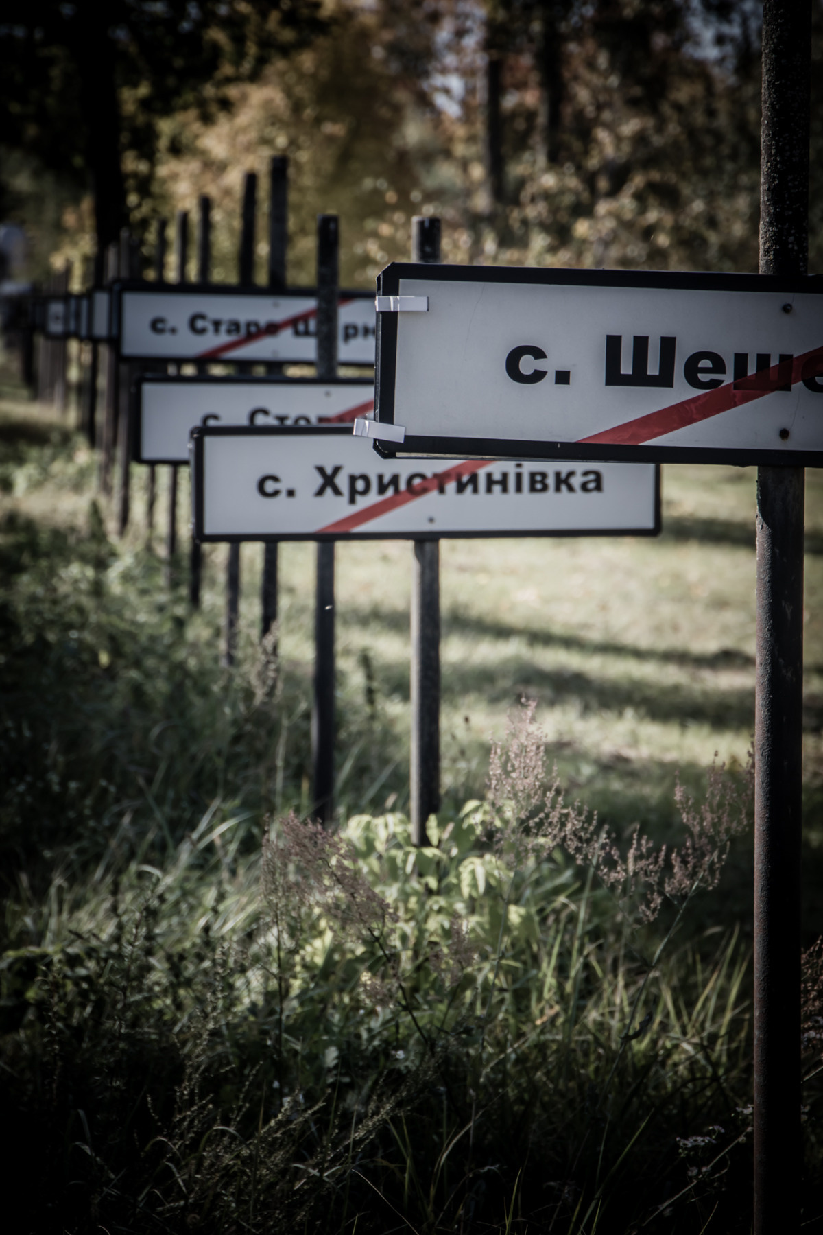 _MG_3615.jpg