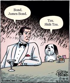 1504b8bf-6600-4ec1-a70f-62dc6ddd706c