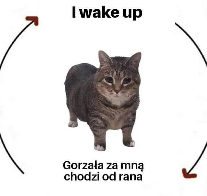 ecebb2db-5f88-4b83-b51a-beb20ddc5d4e