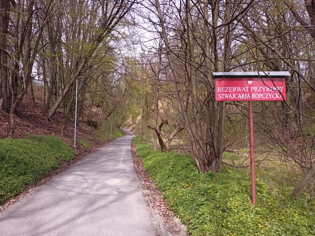 b09dfcf2-b073-46cc-86b4-04162ad4685b