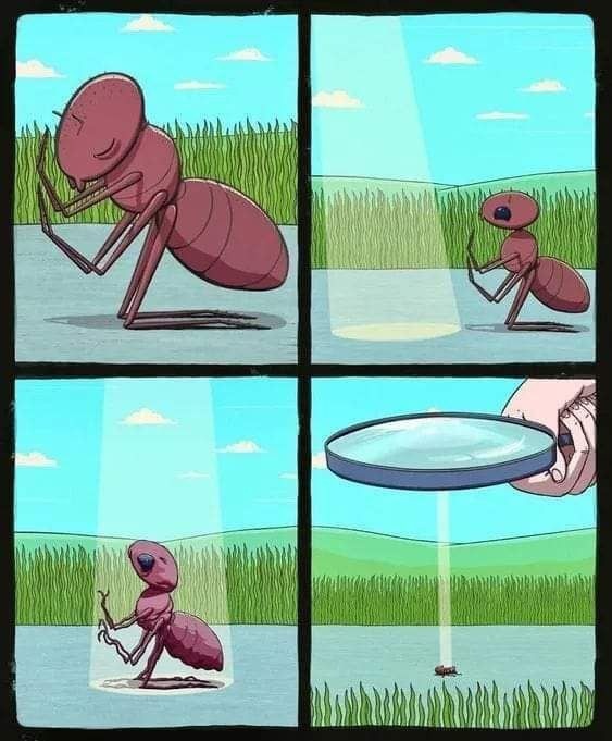 186ac77d-2cca-4979-ac7d-71e2a43bd2c0