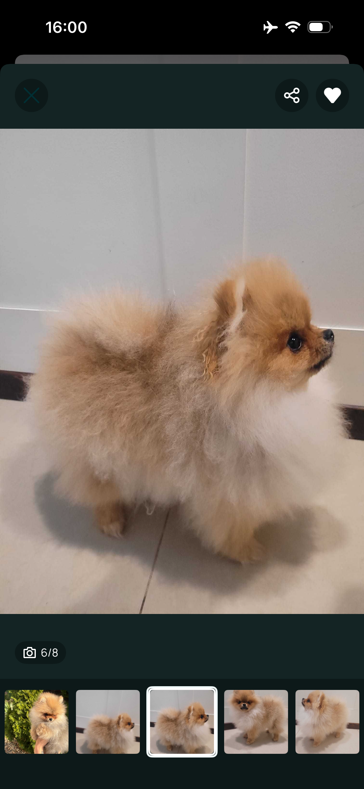 094dab05-df3c-48f3-94b5-0f83cc40e2a3