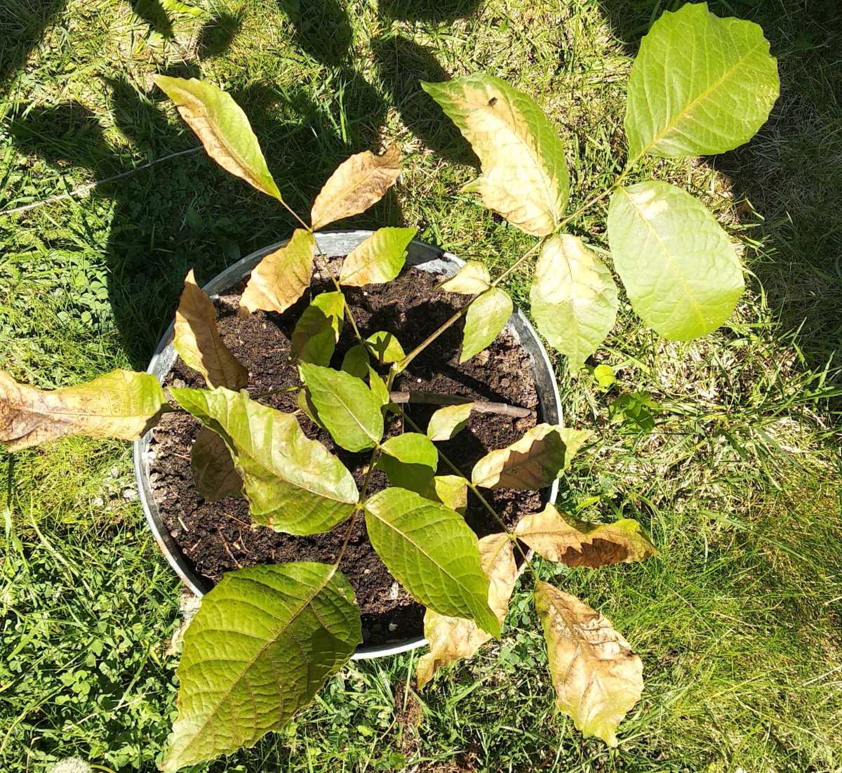 a3cbd9e0-4812-43d2-b2ed-96d6ad485390