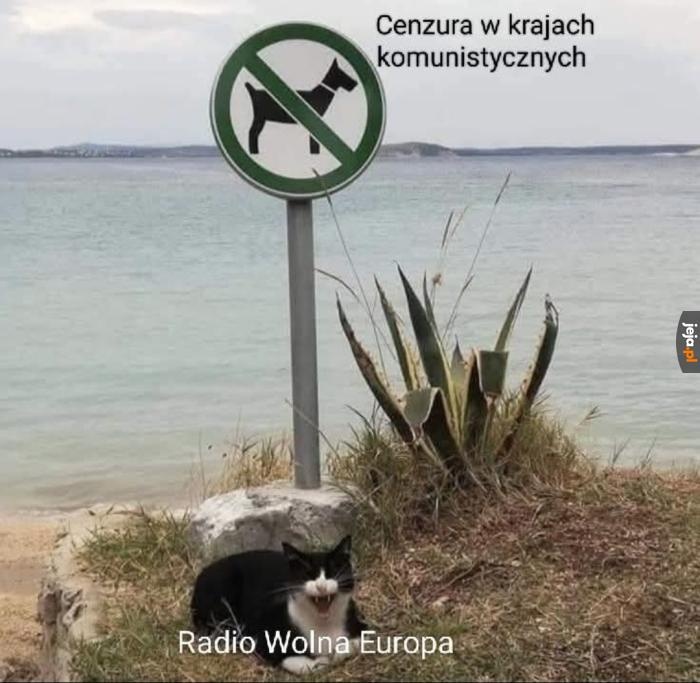 e378a95b-b517-4376-bcb1-ea5d0e14d646