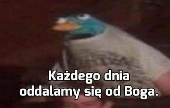 7965384f-eb56-4c29-947d-edd4c5ea7daa