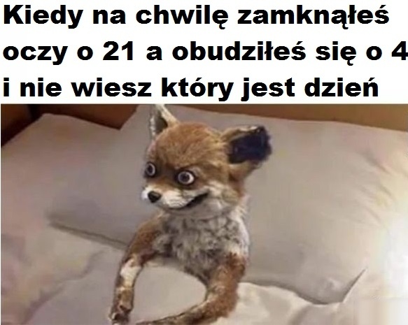 a82e252c-c0e8-41fd-91fa-74f943468704