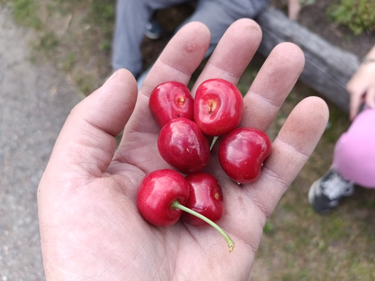 6c8824d4-ef80-40ae-bb80-08a86f679ef1