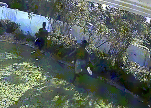 5053baaf-792a-4eab-996d-1c05ce8647df