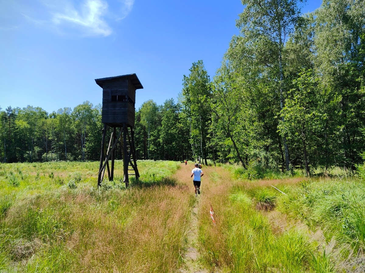 92c2ed96-33bf-42a3-bd73-38d2d23e6612