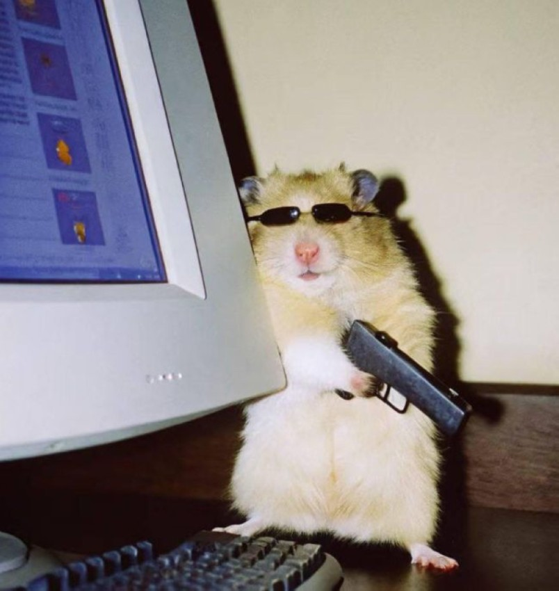 091d1a84-3d77-4931-a675-58dbd5b993bf