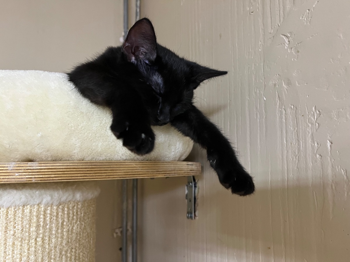 2b5547d2-cf51-48fe-b892-d4d1bdec8ade