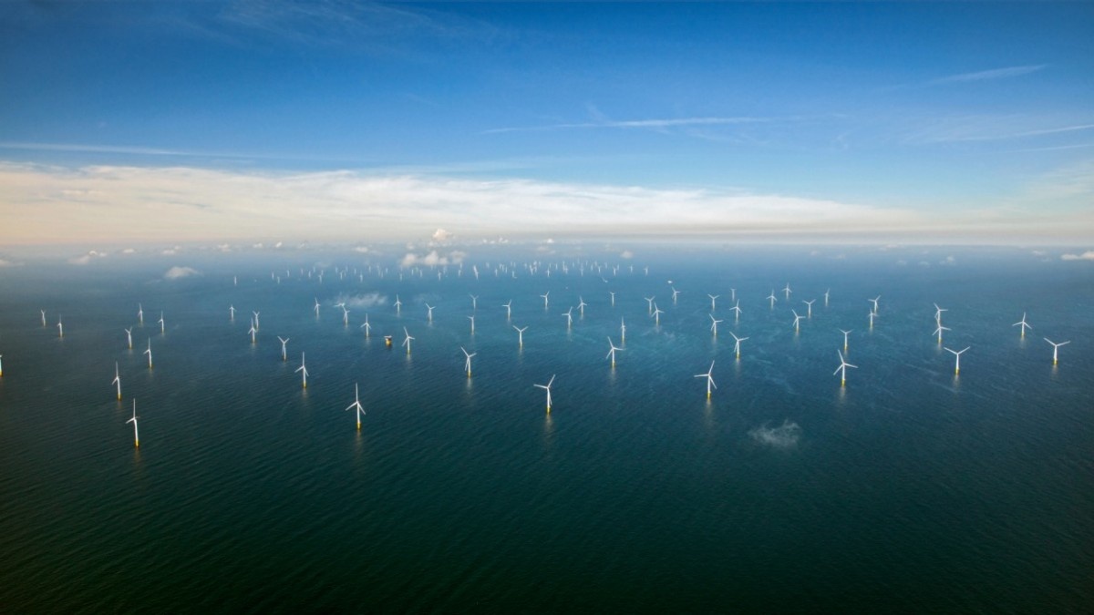 c3d1f478-73f8-4f9b-afad-e384c5120668