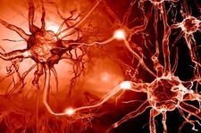Nowo odkryty lek chroni neurony przed chorobą Parkinsona