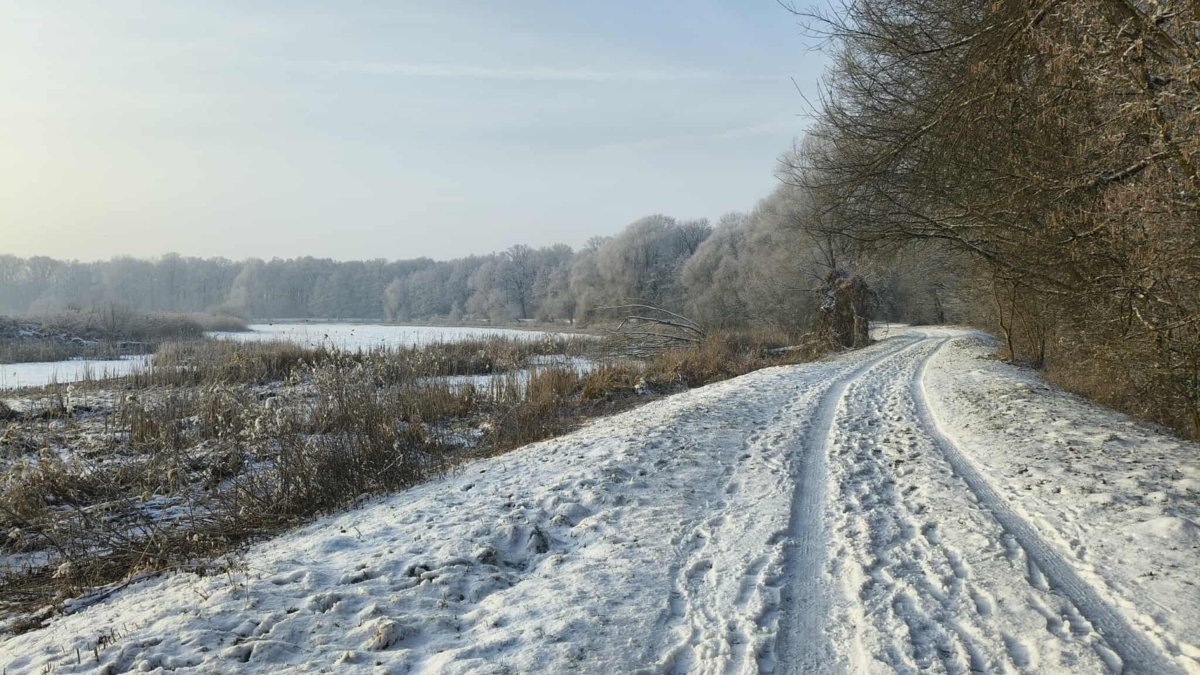 3e48ce5c-1d24-459d-bcd4-4f8c650a53e2