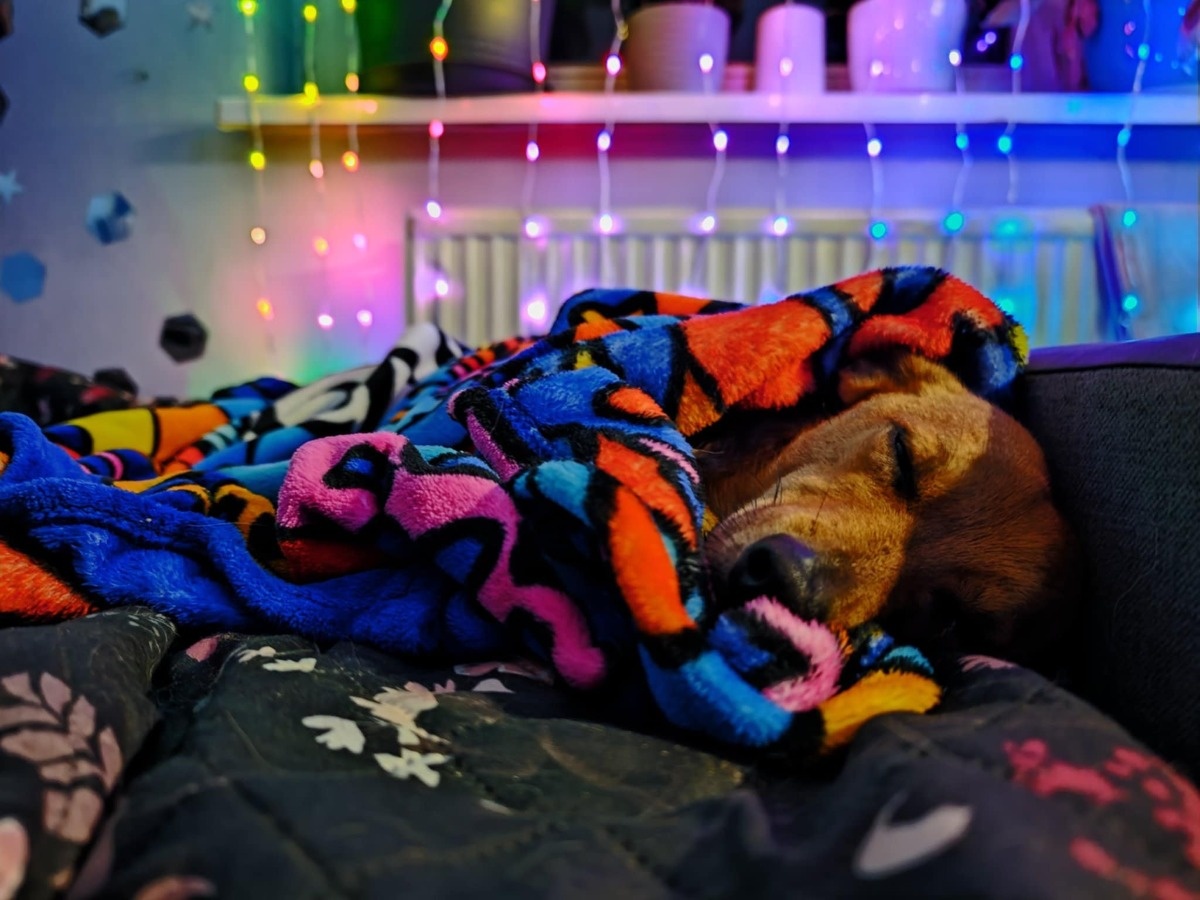 7e67dddb-0856-4504-bad3-b8c466a84766