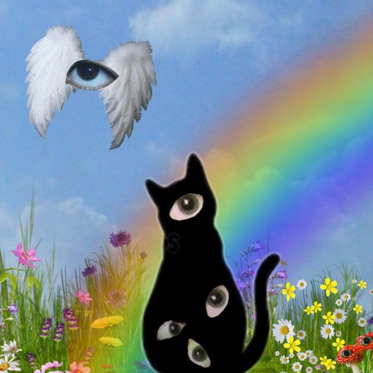 c560a73c-293a-475c-a1eb-c183ad474e53