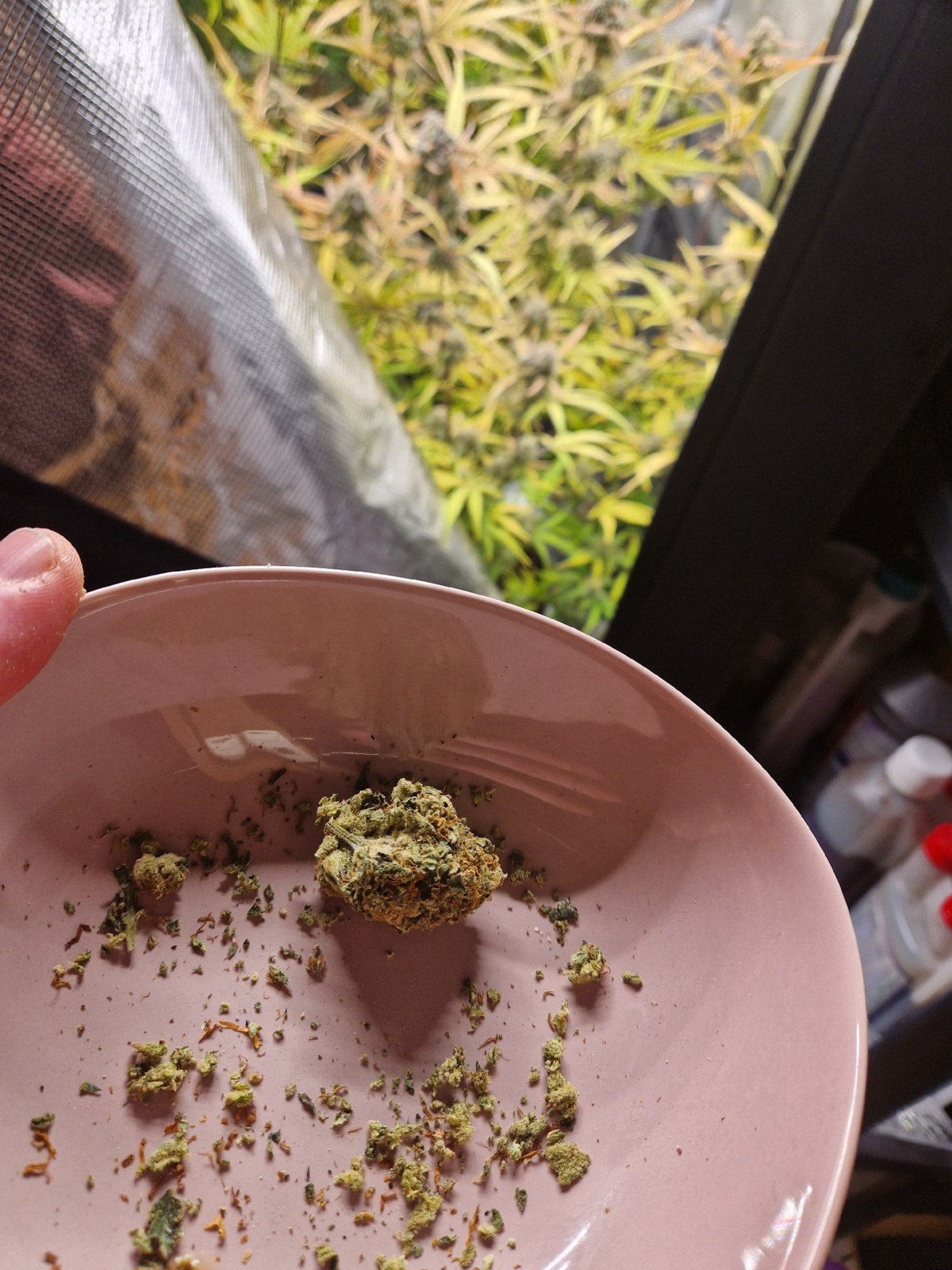 acc217f9-34fe-4b0f-9ecc-6add93a63f96