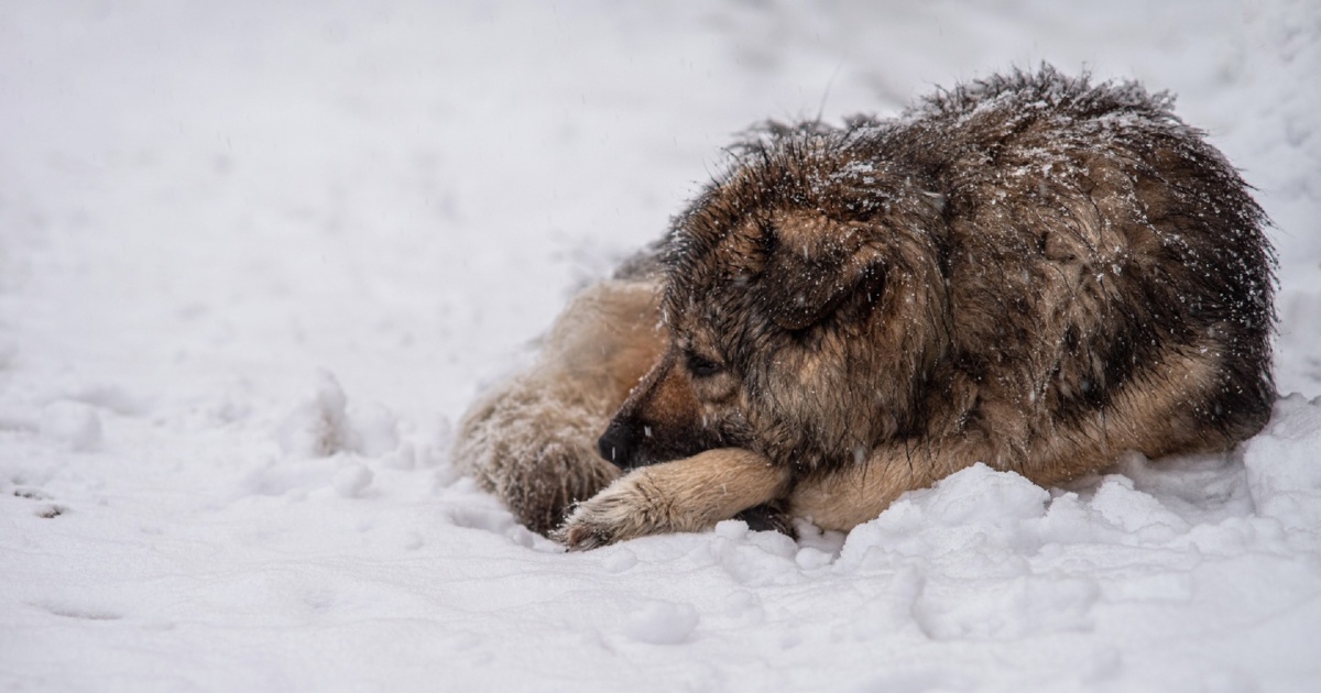 adc985a1-73cd-48e9-8812-bcc9c8dda297