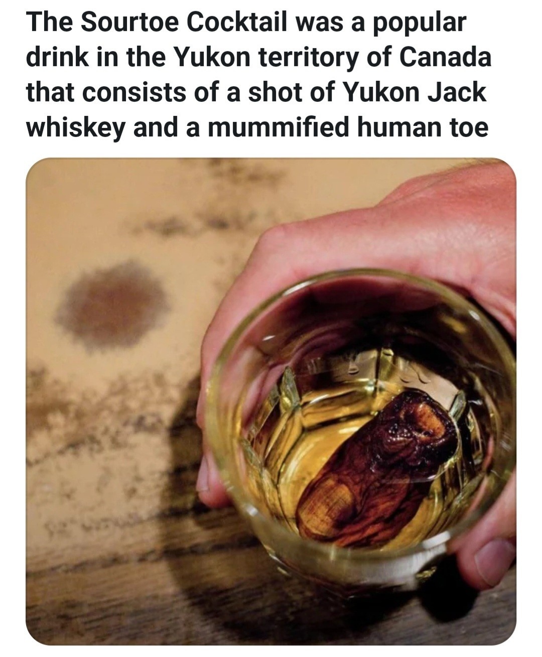 cd2f2357-0aa6-459b-9d8e-c60dee94dfe1