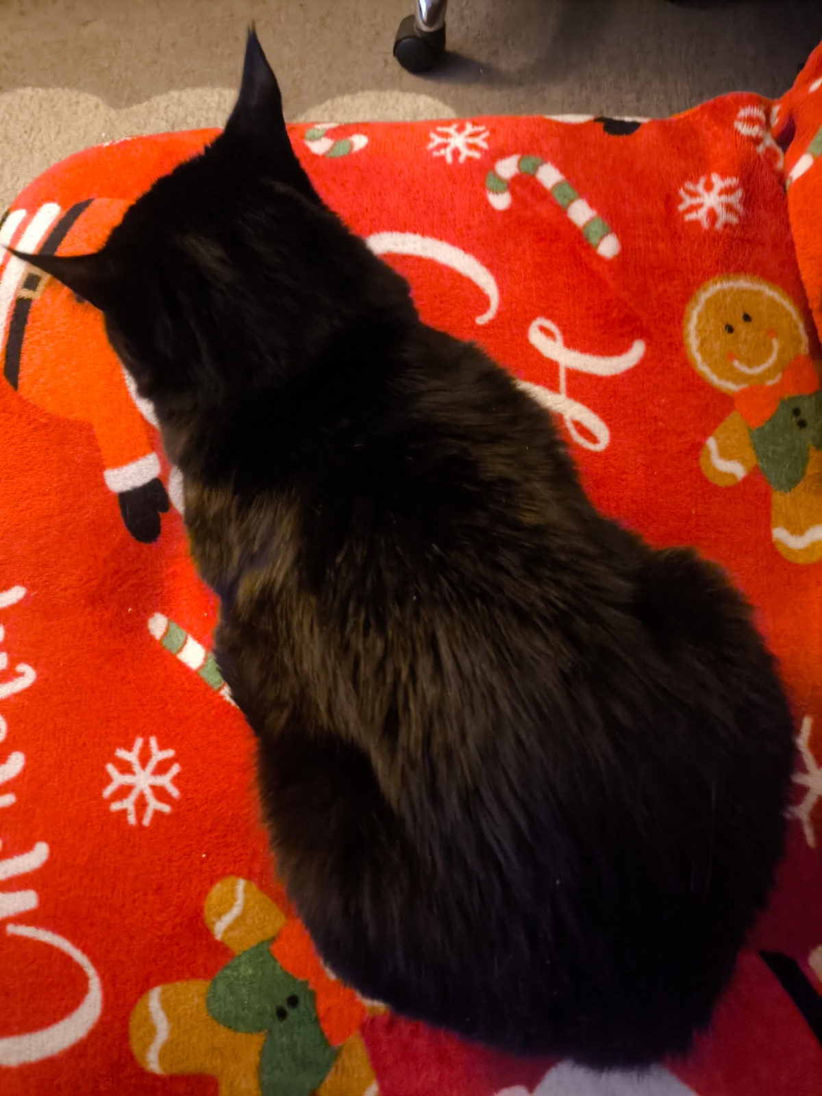 af2646f7-1f4e-4353-ae63-7310c57ab032