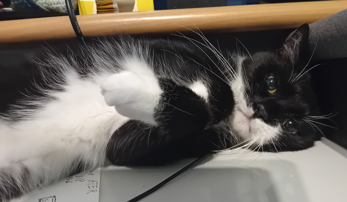 34847835-8ded-4f0c-9313-8db8de0283dc