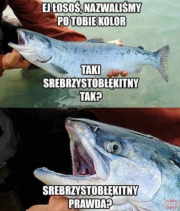 2e771647-0681-46f4-a3c6-ae33e1469eaf