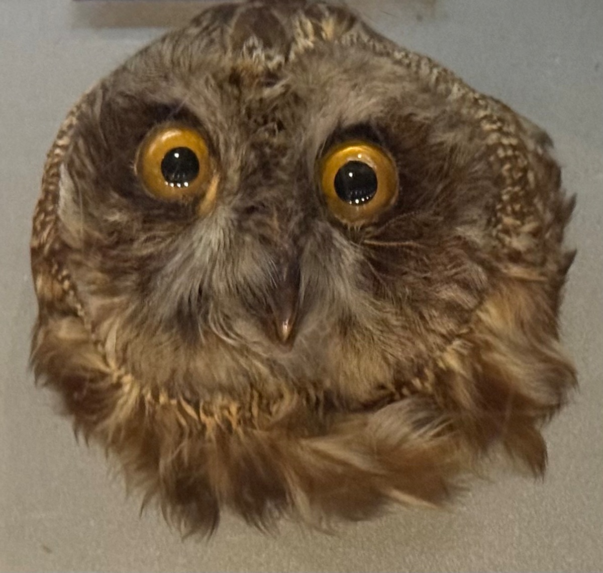 f941b90f-5338-4915-84f9-7c07a43007f7